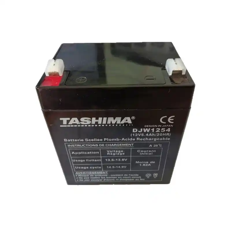 BATTERIE 5.4 AH 12V TONDEUSE CASTEL GARDEN – STIGA – 18120052/0 – 1181200520 – 181200520 – 1136-1320-01 – DJW1254 – FIAM FG20451 – Commander Vite