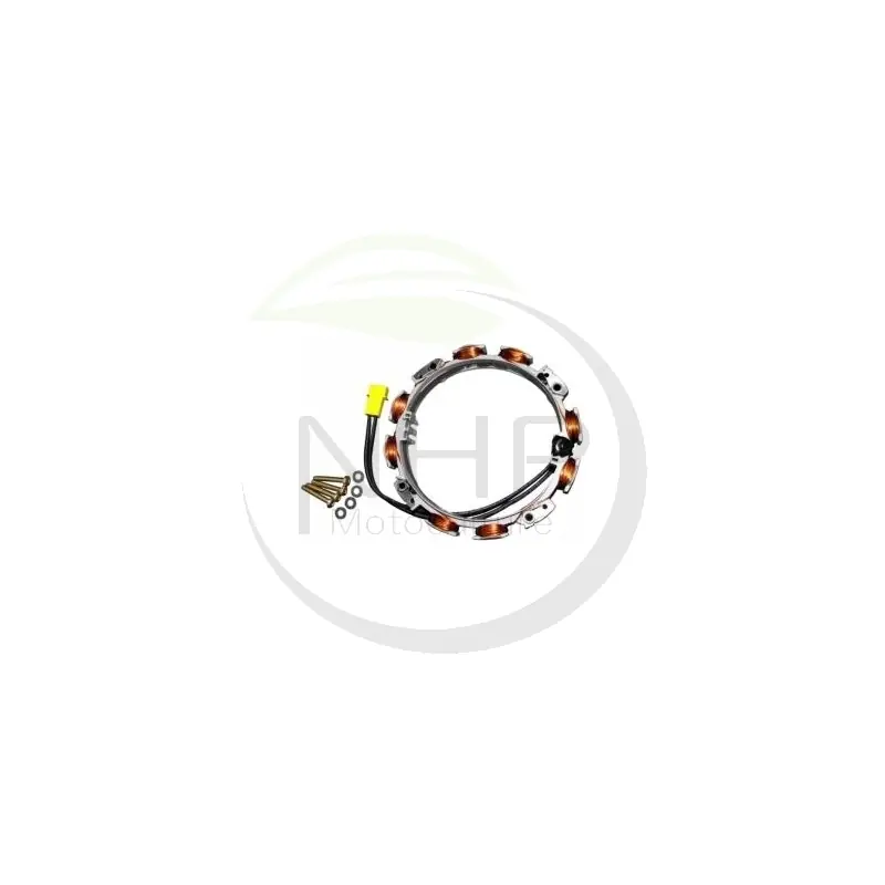 Bon Plan ALTERNATEUR MOTEUR BRIGGS ET STRATTON 592830 – 696458 – 691604 –