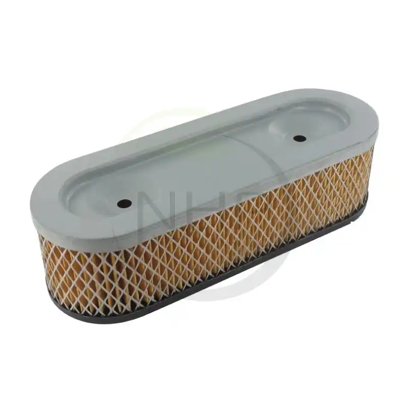 Prix Choc FILTRE A AIR BRIGGS ET STRATTON 399968 –