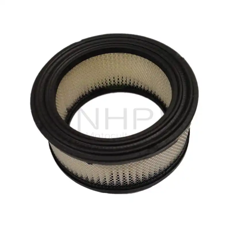 Commander Vite FILTRE A AIR BRIGGS ET STRATTON 392286 –
