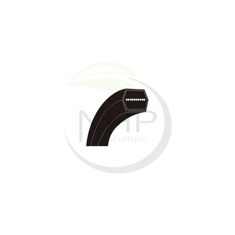 COURROIE TRACTEUR TONDEUSE JOHN DEERE M174313 - X330 - X350 - X354 - X370 - Offre Exclusive