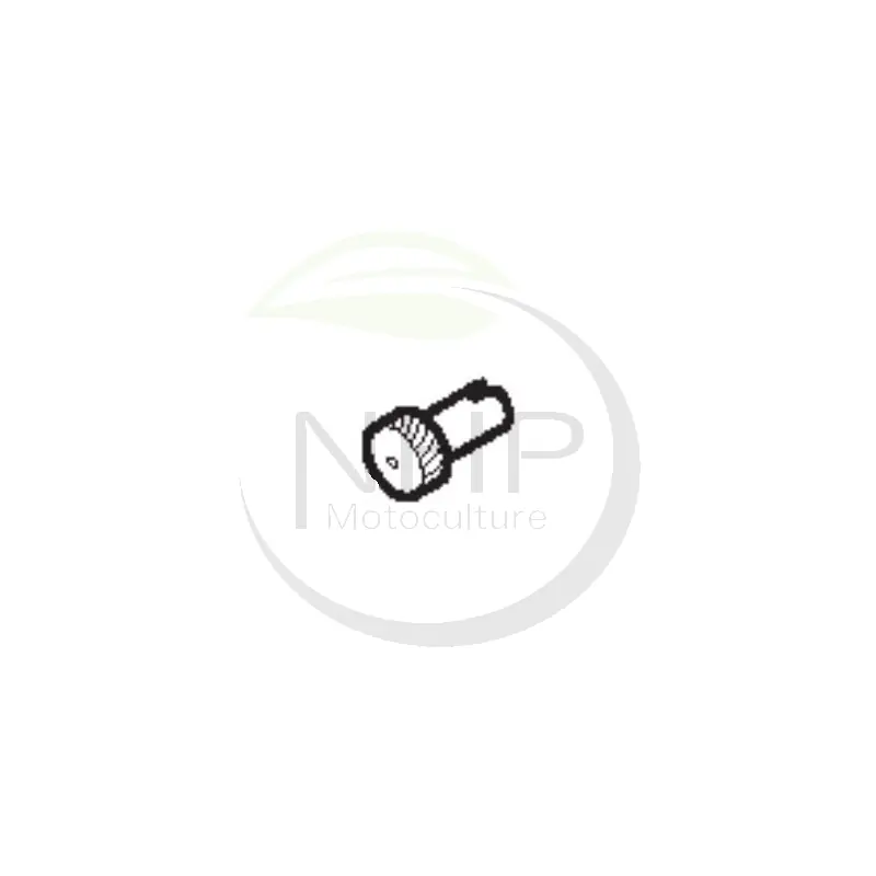 Acheter Direct TENDEUR CHAINE TRONCONNEUSE GGP - CASTELGARDEN - STIGA - ALPINA - BESTGREEN 123796005/0 -