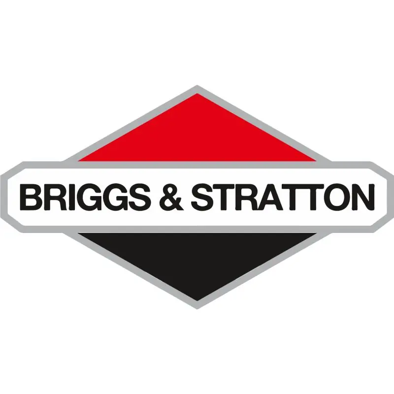 Prix Promo Jet – main BRIGGS ET STRATTON 84002086 –
