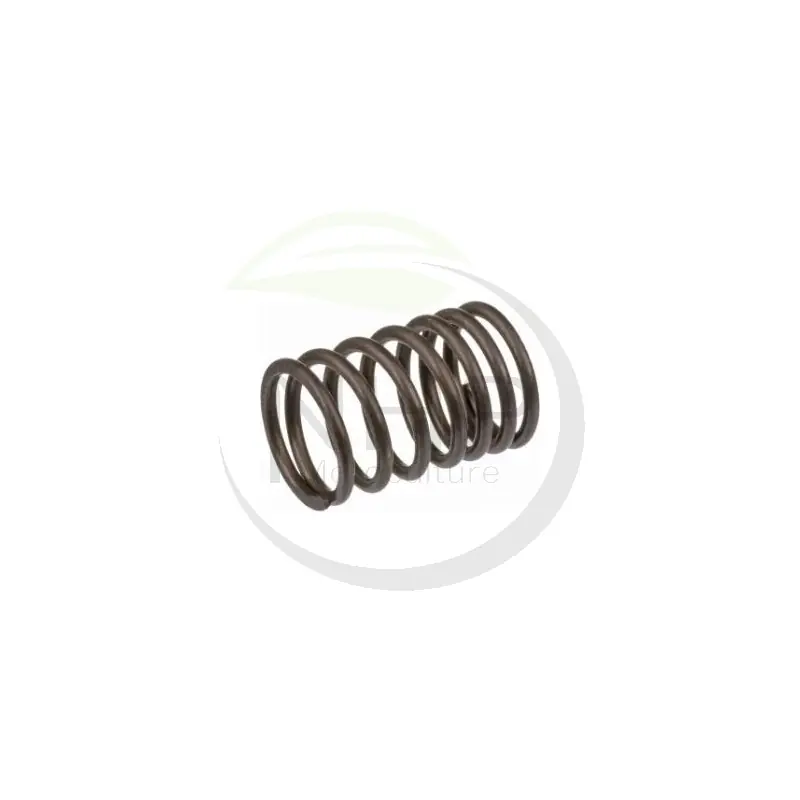 Ressort de soupape BRIGGS ET STRATTON 690520 - 260552 - 26021 - 555060 - Expédition Rapide