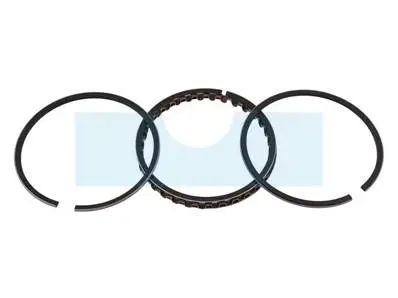 Kit segment pour moteur Briggs & Stratton (391669) Seulement Aujourd’hui