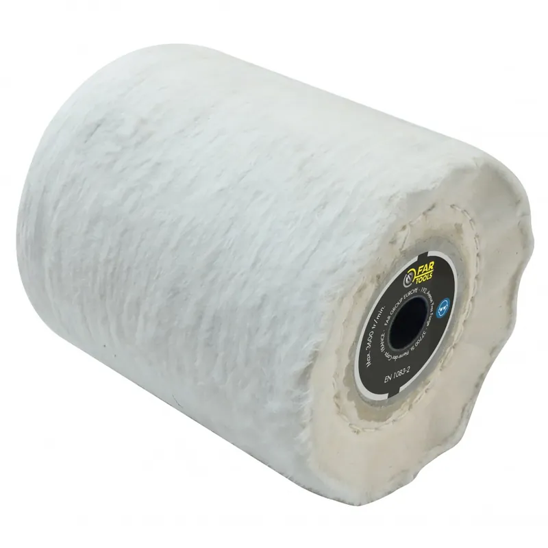Commander Vite Brosse à feutre pour rénovateur REX 120 – 200 – lustrage – brillance