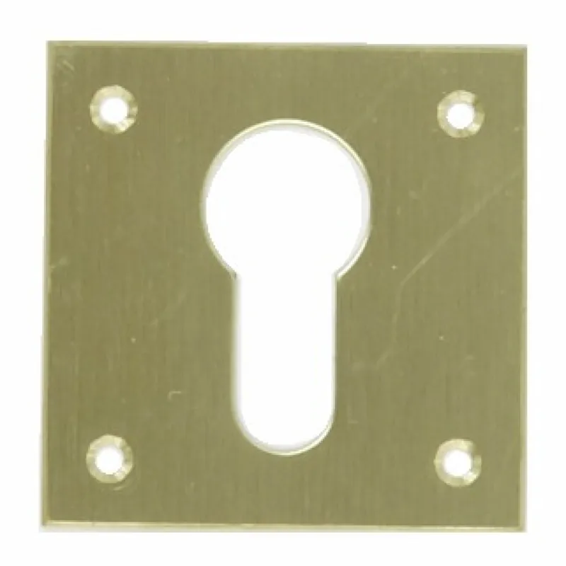 Entrée de cylindre européen en laiton - 50x50 mm Dernière Chance