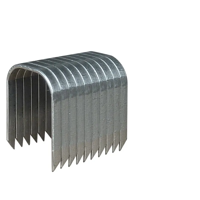 Marque Agrafes rondes T37 – 12 mm – paquet de 5000 pcs