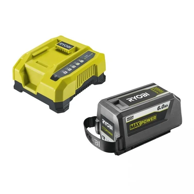 Acheter Direct Pack batterie 36V MaxPower™ High Energy – 6,0 Ah et chargeur 6 A – RY36BK60B-160