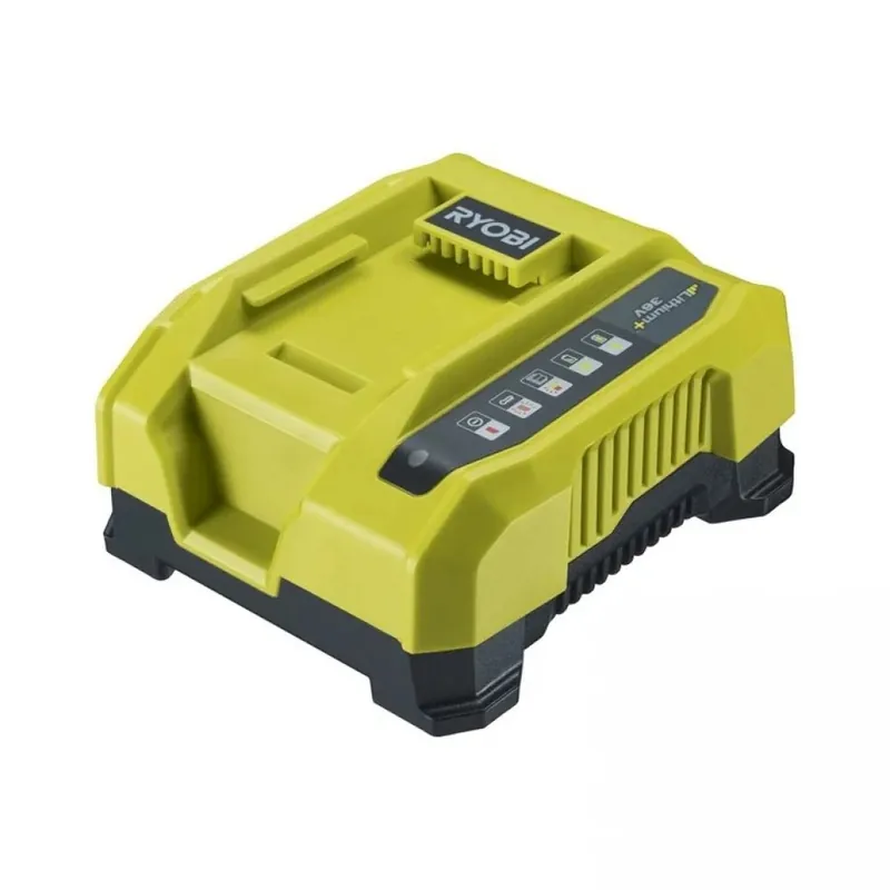 Chargeur rapide MaxPower™ 36V 6,0 A – RY36C60A Seulement Aujourd’hui