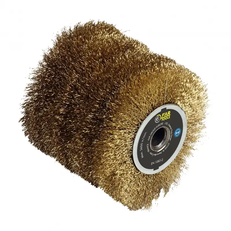 Expédié Aujourd’hui Brosse fil laitonnée 0,3 mm pour rénovateur RDP 601