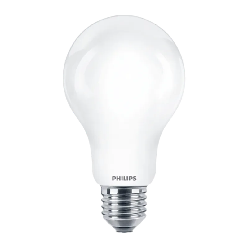 Ampoule LED – E27 – A67 – LEDbulb Dernière Chance