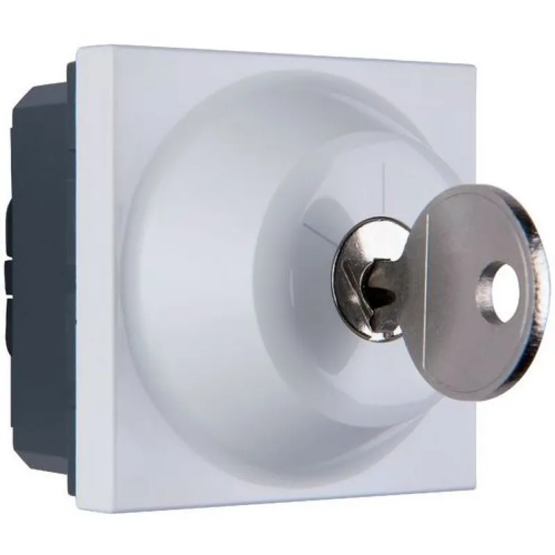 Livraison Express Interrupteur à clé Mosaic – 2 positions – 6 A – 2 modules – blanc