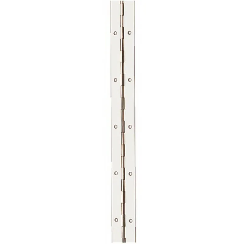 Charnière à piano simple feuille en laiton-diamètre 1,8 mm Affaire À Saisir
